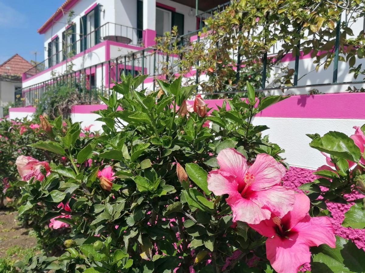 Westerland House Ribeira Brava Exterior photo